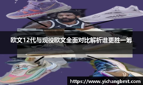 jn江南·体育登录入口