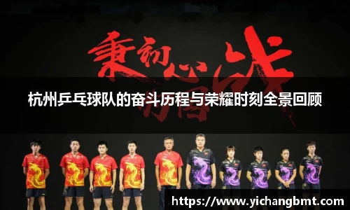 杭州乒乓球队的奋斗历程与荣耀时刻全景回顾